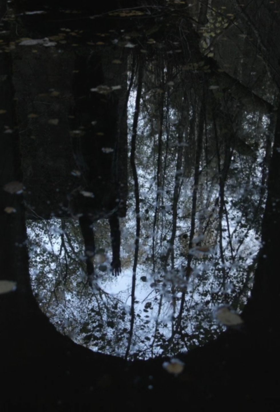 Carolina Jonsson â Videoinstallationen Portal